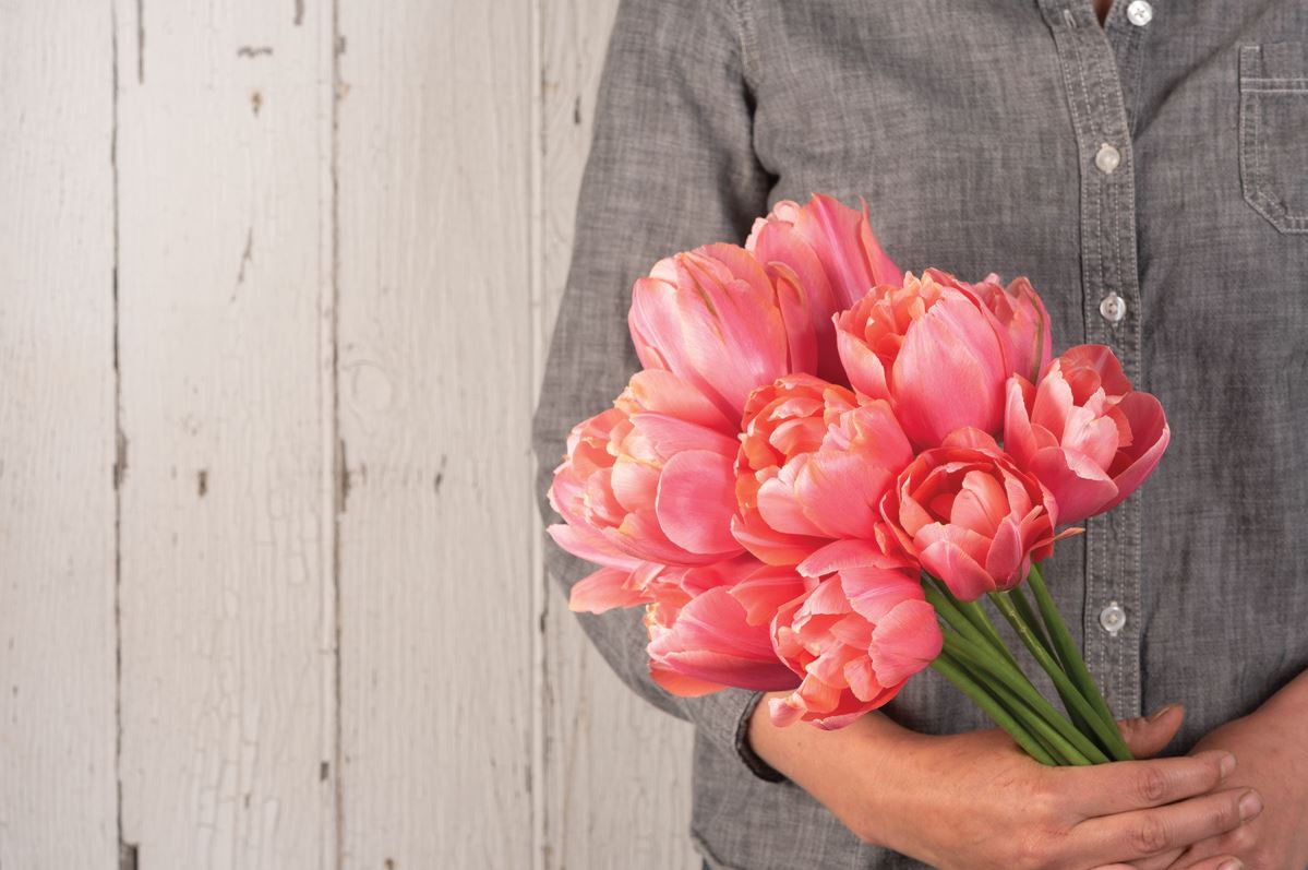 Menton Exotic – Tulip